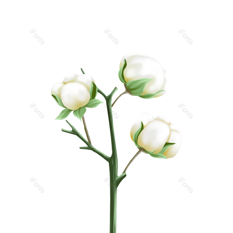 花朵图片,植物素材元素,绿色PNG,绿色植物免抠素材